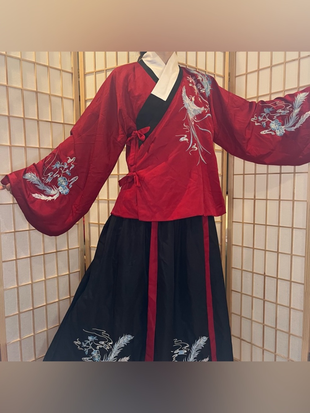 Red and black embroidered Ming dynasty aoqun two piece set